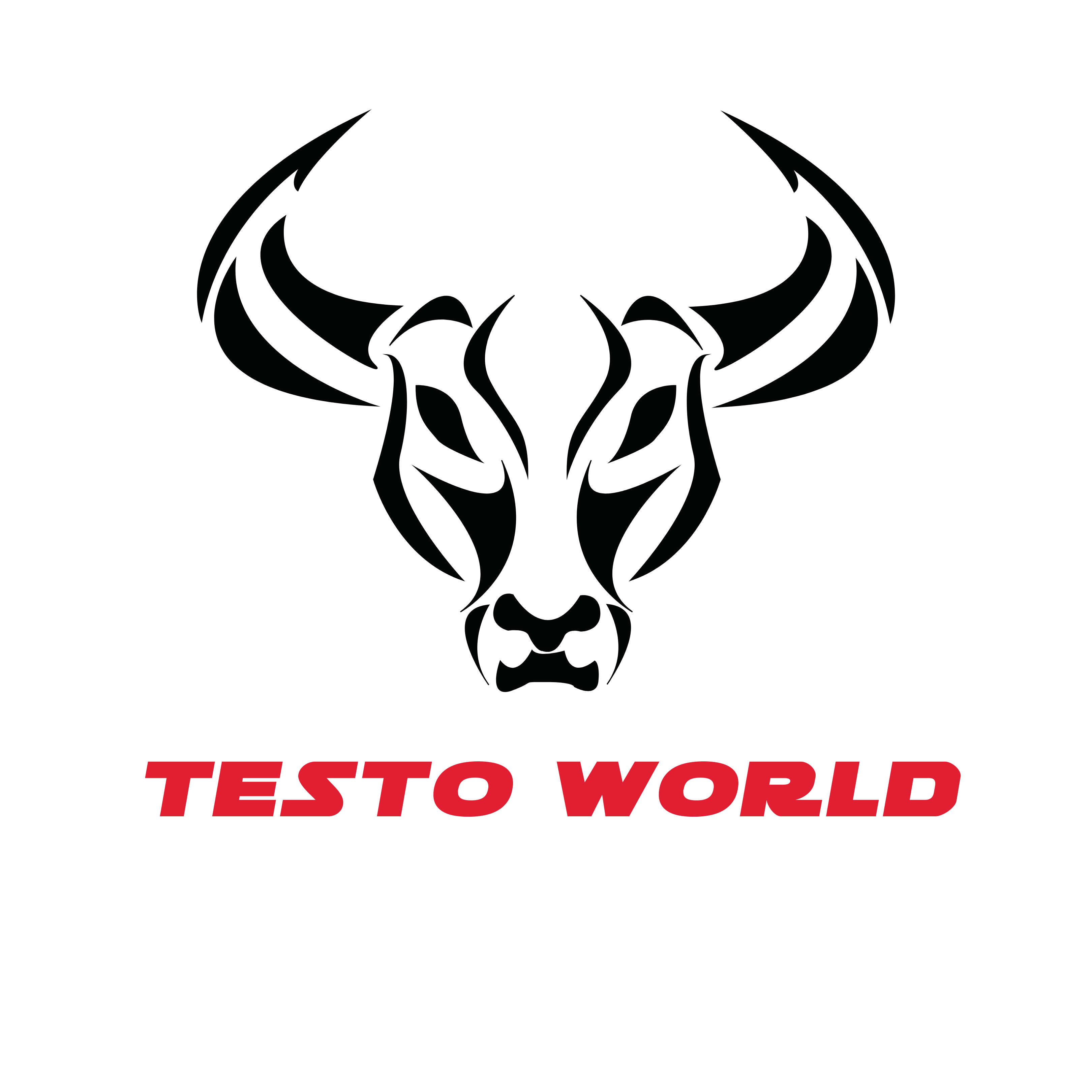 Testo World