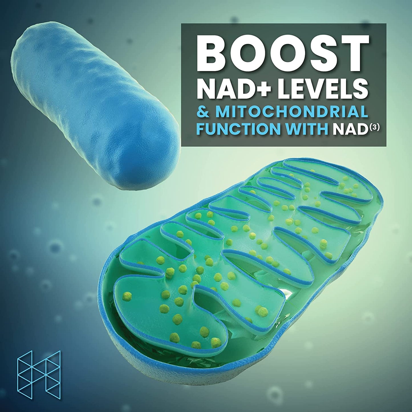 NAD Suplemento | Potenciador de NAD+ | 60 capsulas